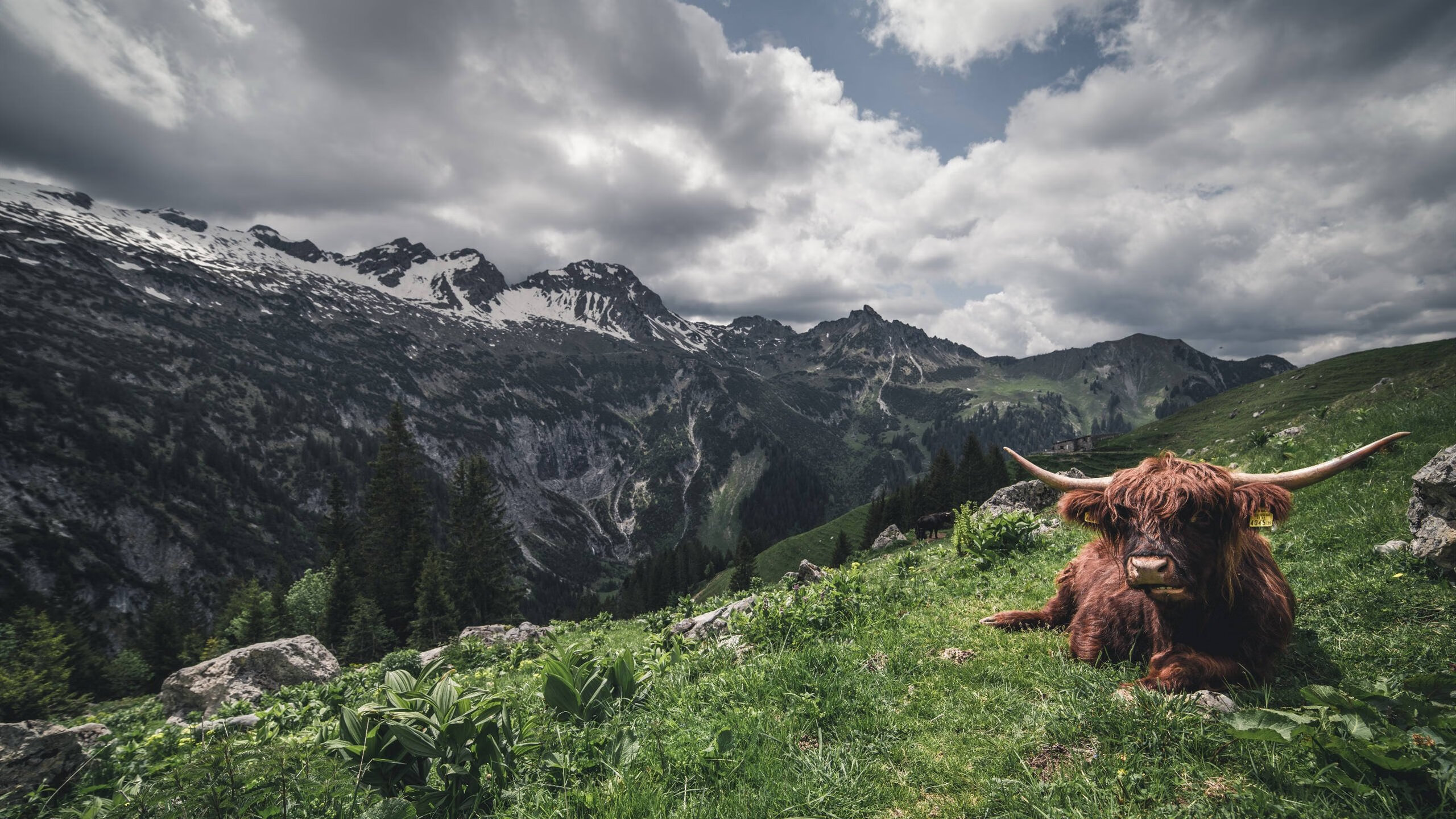 保守与激进：不同策略下的赛场对决，激进和保守怎么区分