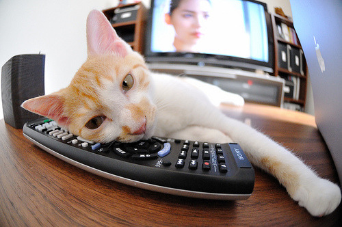 “足球+互联网++体育+文化”融合发展新格局逐步明朗,如何打造足球体育文化