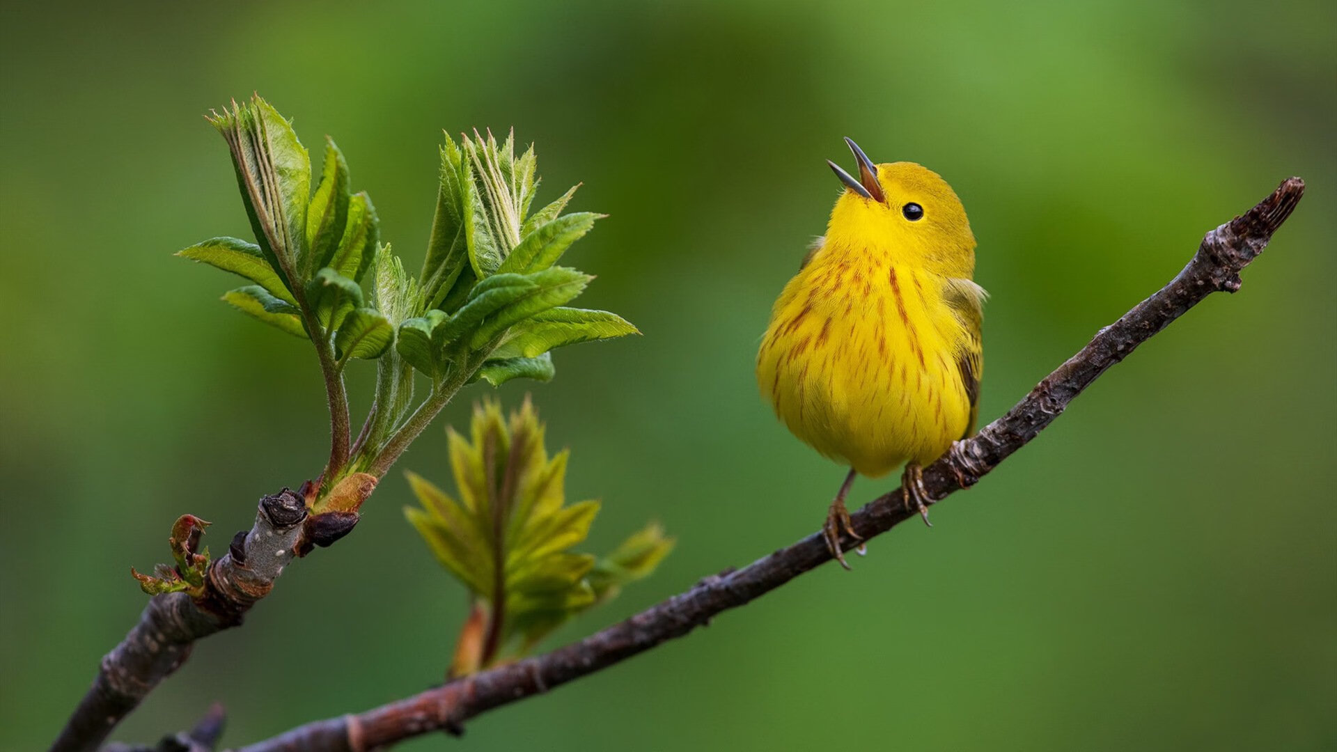 全场聚焦：你不能错过的比赛亮点！，比赛亮点或成效