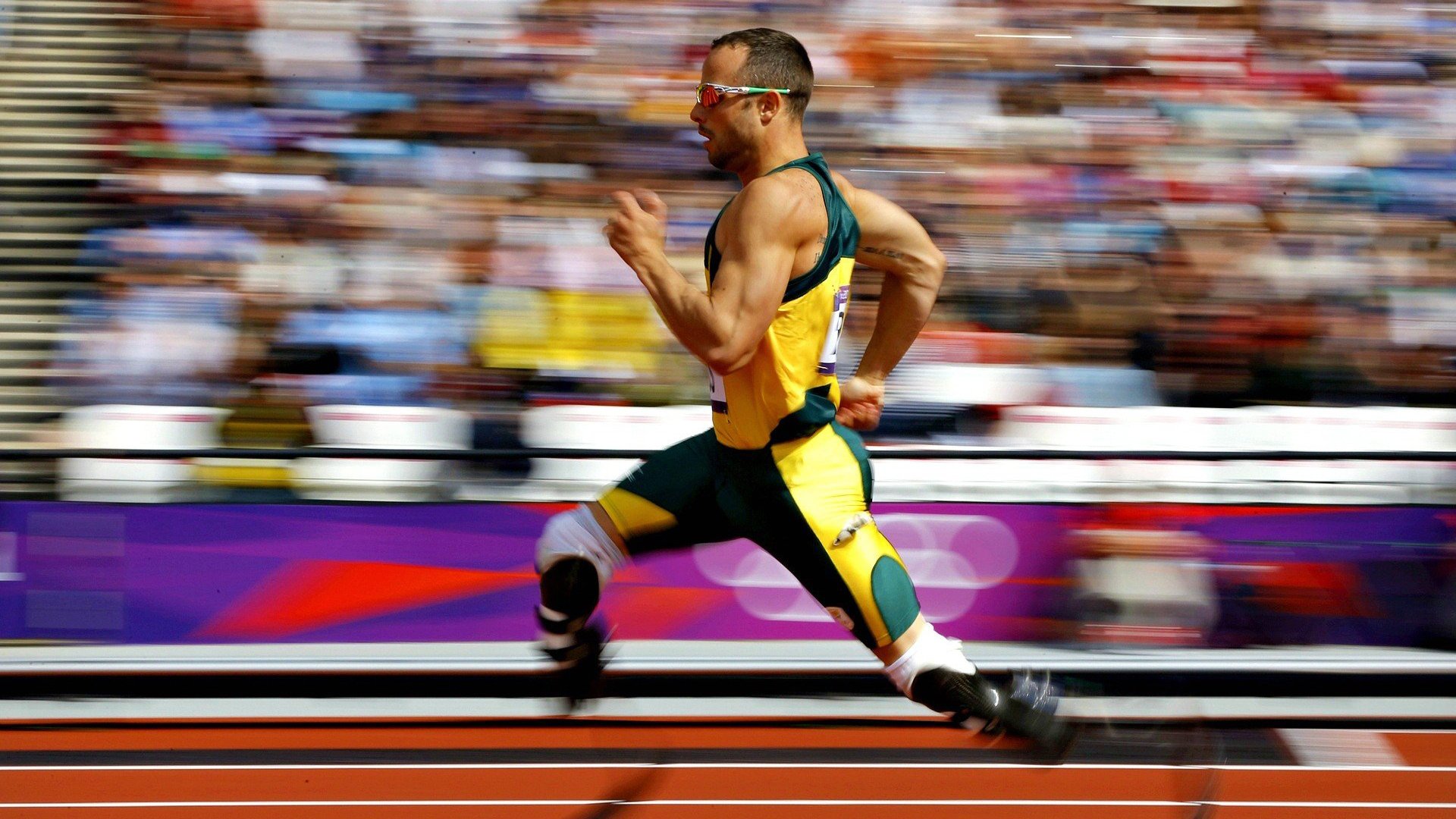 九游官网下载电脑版-袋鼠队的快速反击：橄榄球冠军锦标赛新看点，袋鼠 拳击